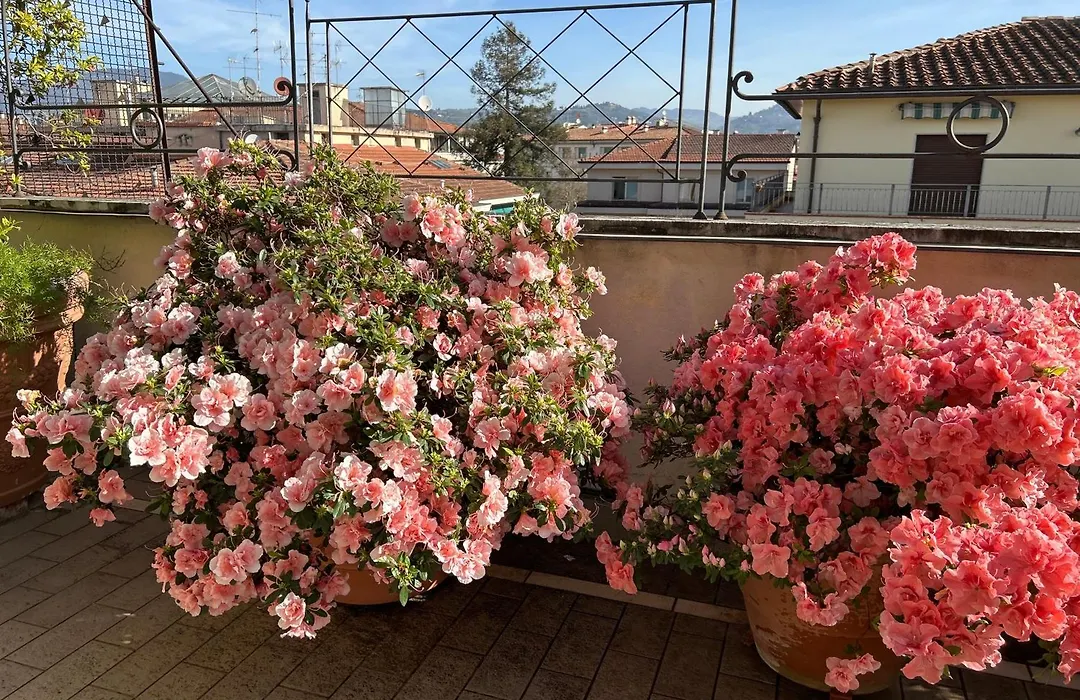 Cherubini Florence Residence-1